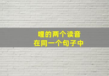 哩的两个读音在同一个句子中