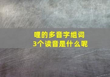 哩的多音字组词3个读音是什么呢