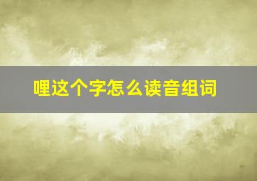 哩这个字怎么读音组词