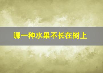 哪一种水果不长在树上