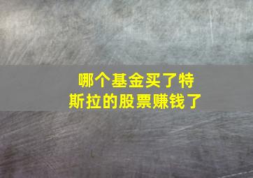 哪个基金买了特斯拉的股票赚钱了