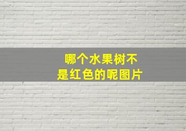 哪个水果树不是红色的呢图片