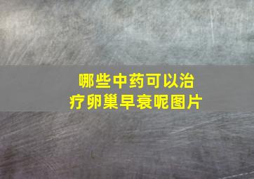 哪些中药可以治疗卵巢早衰呢图片