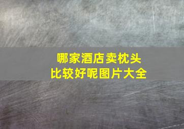 哪家酒店卖枕头比较好呢图片大全