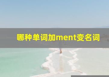 哪种单词加ment变名词