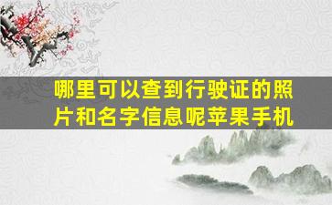 哪里可以查到行驶证的照片和名字信息呢苹果手机