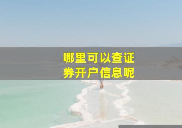 哪里可以查证券开户信息呢