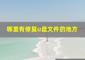 哪里有修复u盘文件的地方