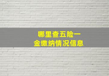 哪里查五险一金缴纳情况信息