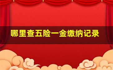 哪里查五险一金缴纳记录