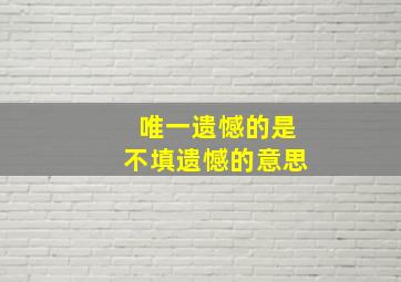 唯一遗憾的是不填遗憾的意思