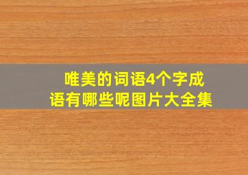 唯美的词语4个字成语有哪些呢图片大全集