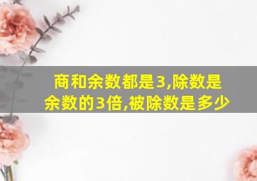 商和余数都是3,除数是余数的3倍,被除数是多少