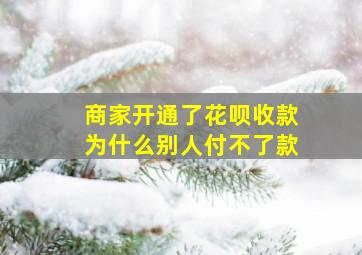 商家开通了花呗收款为什么别人付不了款