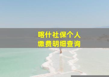 喀什社保个人缴费明细查询