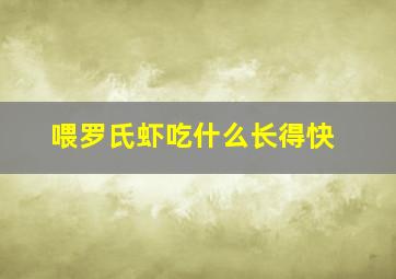 喂罗氏虾吃什么长得快