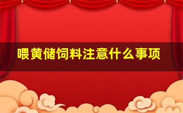 喂黄储饲料注意什么事项