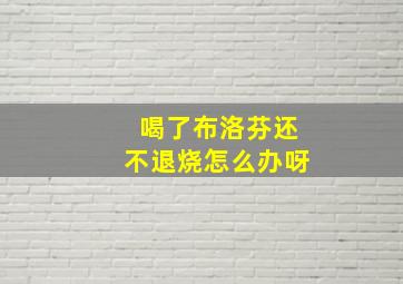 喝了布洛芬还不退烧怎么办呀