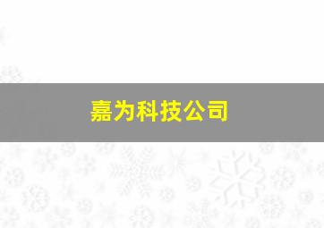 嘉为科技公司