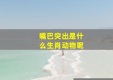 嘴巴突出是什么生肖动物呢