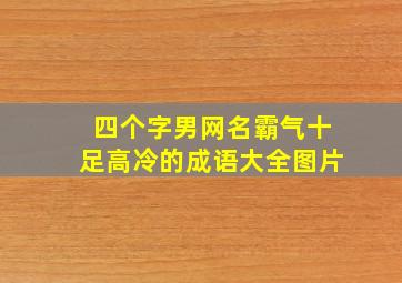 四个字男网名霸气十足高冷的成语大全图片