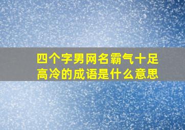 四个字男网名霸气十足高冷的成语是什么意思