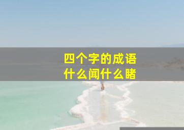 四个字的成语什么闻什么睹