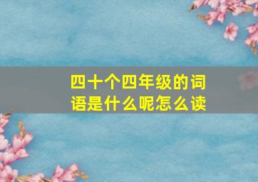 四十个四年级的词语是什么呢怎么读