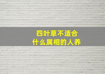 四叶草不适合什么属相的人养