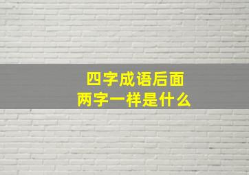 四字成语后面两字一样是什么