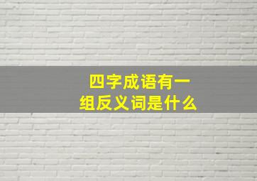 四字成语有一组反义词是什么