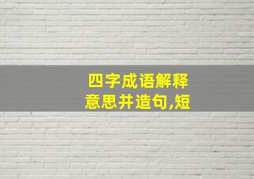 四字成语解释意思并造句,短