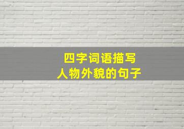 四字词语描写人物外貌的句子