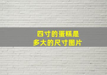 四寸的蛋糕是多大的尺寸图片