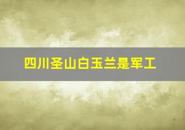 四川圣山白玉兰是军工