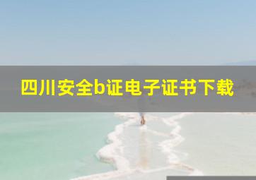 四川安全b证电子证书下载