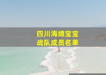 四川海绵宝宝战队成员名单