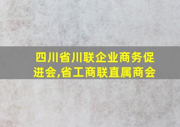 四川省川联企业商务促进会,省工商联直属商会