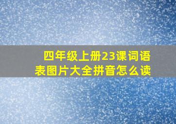 四年级上册23课词语表图片大全拼音怎么读