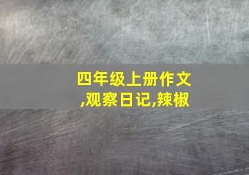 四年级上册作文,观察日记,辣椒