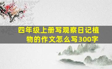 四年级上册写观察日记植物的作文怎么写300字