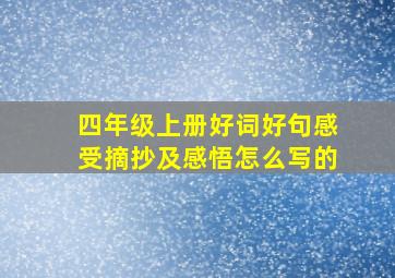 四年级上册好词好句感受摘抄及感悟怎么写的