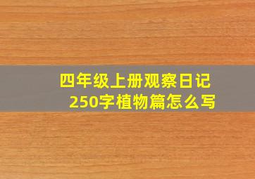 四年级上册观察日记250字植物篇怎么写