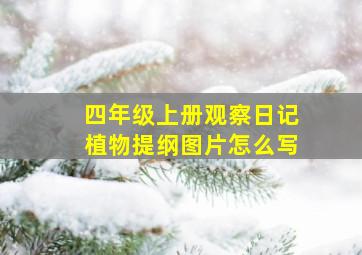 四年级上册观察日记植物提纲图片怎么写