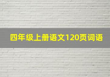 四年级上册语文120页词语