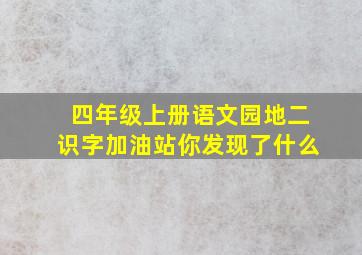 四年级上册语文园地二识字加油站你发现了什么