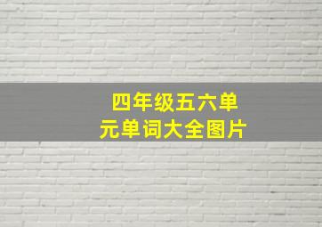 四年级五六单元单词大全图片