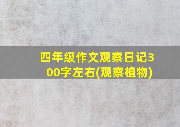 四年级作文观察日记300字左右(观察植物)