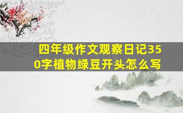 四年级作文观察日记350字植物绿豆开头怎么写