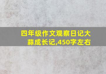 四年级作文观察日记大蒜成长记,450字左右